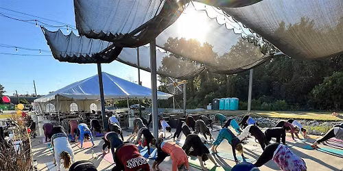 Yoga + Brunch at Steel Hands Brewing