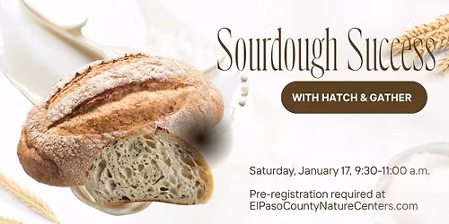 Sustainability Series- Sourdough Success with Hatch & Gather