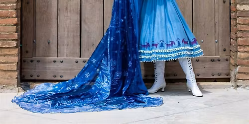 A Frozen Cookie Party With Elsa & Anna