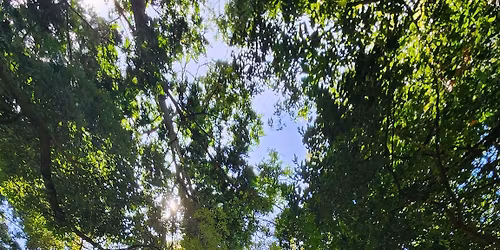 Nature Based Wellbeing: Mindfulness in the Gardens