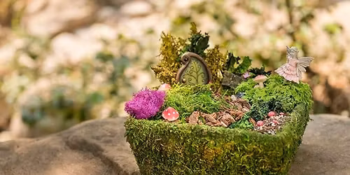 Spring Fairy Garden