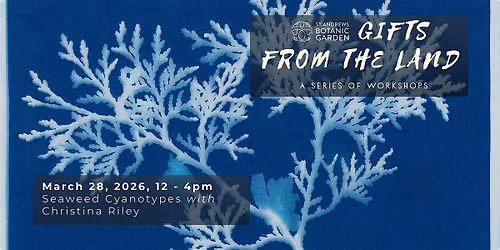 Gifts from the Land: Seaweed Cyanotypes with Christina Riley