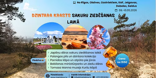 Ekskursija | DZINTARA KRASTS SAKURU ZIED\u0112\u0160ANAS LAIK\u0100