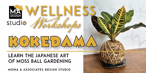DIY Wellness Wednesday Workshop -Kokedama