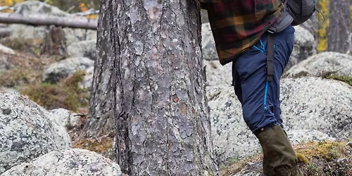 S\u00e5ng f\u00f6r en f\u00f6rlorad skog, Kairos + Sebastian Kirppu