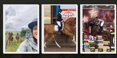 RYTTERLEJR HOS LCEQUESTRIAN