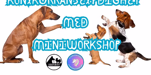 Konkurranselydighet + miniworkshop - 23-25 januar 2026