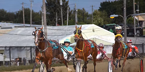 Harness Racing Grandstand Event
