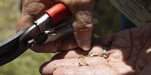 Gardening from Seeds for the Home Gardener