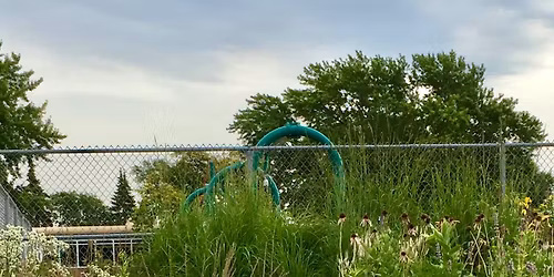 Matrix Garden Design