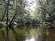 Black Water Adventure Aboard Wilmington Water Tours