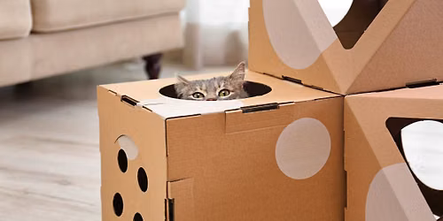 Cat Castles