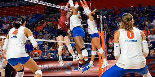 Florida Gators at Arkansas Razorbacks Womens Volleyball