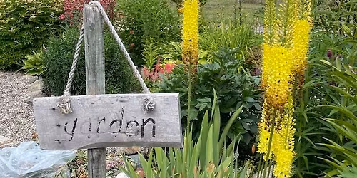 Plant Sale 