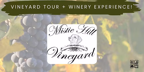 Vineyard Tour + Winery Experience @ Mistie Hill Vineyard