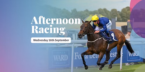 Afternoon Racing 