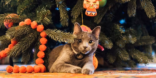 Ornament Decorating at The Red Lion Inn