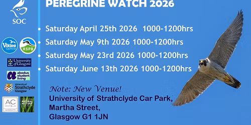 Peregrine Watch