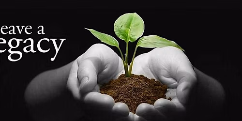 Protecting Your Legacy: Estate Planning for the Next Generation