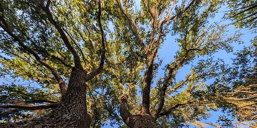 Poetry on Trails: Nurturing a Love of Nature and Environmental Stewardship