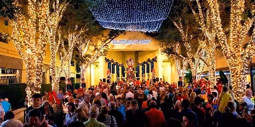 Naples Christmas Walk and Tree Lighting Ceremony