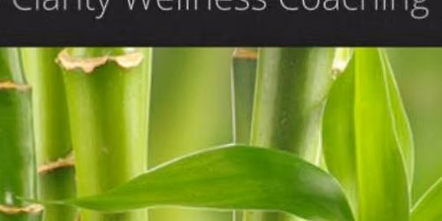 Qi Gong & Meditation for Self-care & Vitality (DM for updates)