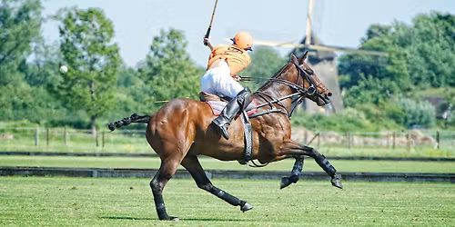 NK Polo 2026