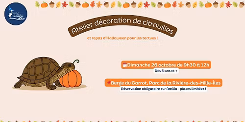 Atelier d\u00e9coration de citrouilles et repas d\u2019Halloween pour les tortues