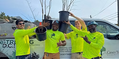 Final Spring Tree Giveaway at Casey Trees