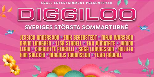 Diggiloo 2026 | G\u00e4vle, Bryn\u00e4svallen