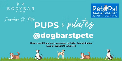 Pups and Pilates @Dog Bar St. Pete