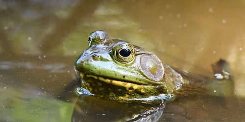 Water Play at Whalon Lake