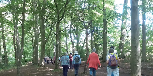 Arrowe Park Wellbeing Walk