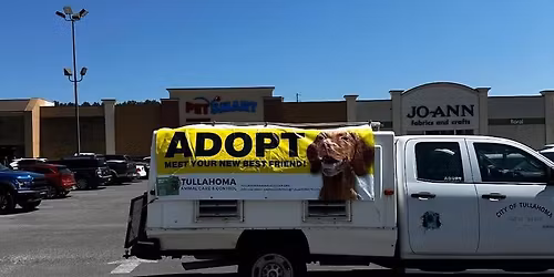 Adoption Event at Petsmart