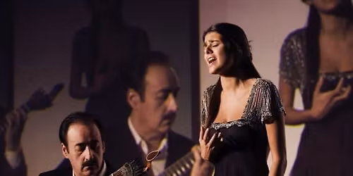 Fado Musical Experience with Portuguese Appetizers