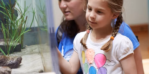 Fish Feeding Fun