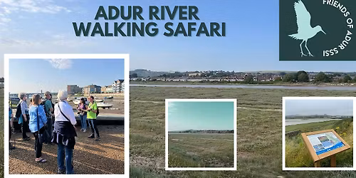 Adur River Walking Safari October