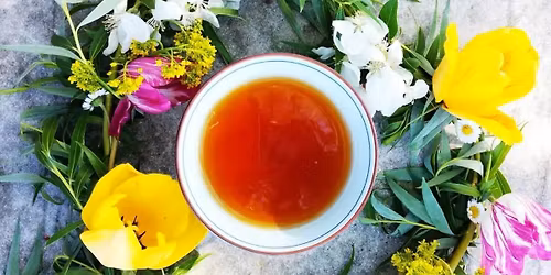LE PRINTEMPS EN INFUSION