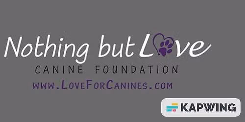 Adoption Clinic Petsmart Clifton Park