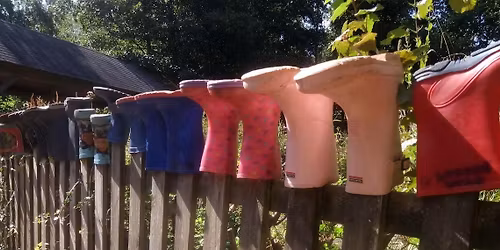 Blashford Lakes: Winter Wildlife Explorers