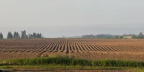 Yuk Yuk\u2019s Comedy Night at the Honeywood Arena