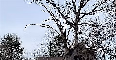 Naturalist Walk: Old Home Sites