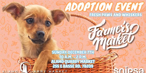 Adoption Event at Alamo Heights Farmers Market
