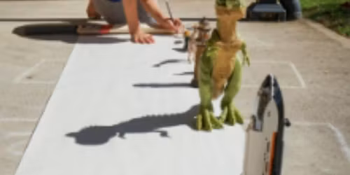 Homeschooler's Art Club (Shadow Art)