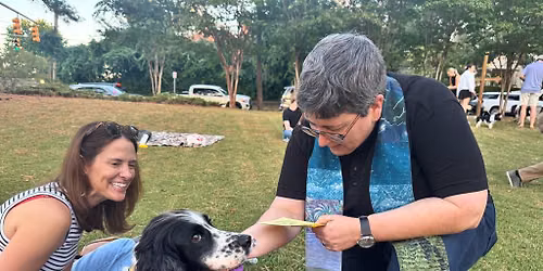 All Saints Pet Blessing
