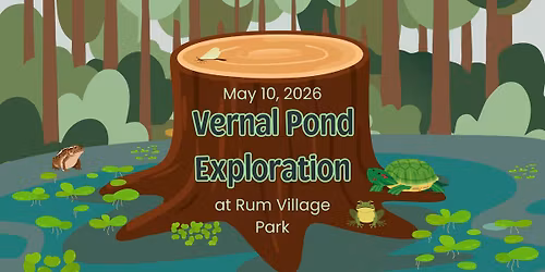 Vernal Pond Exploration