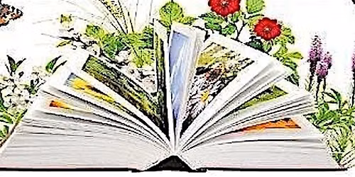 July Book Swap and Upcycle Paper Craft