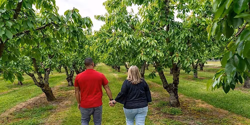 2025 Travel Southern Oregon Stakeholder Meeting - Umpqua Valley