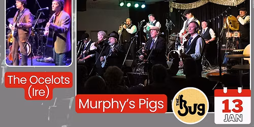 The BUg - Murphy's Pigs, The Ocelots (Ireland)