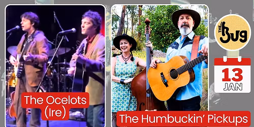 The BUg - The Humbuckin\u2019 Pickups, The Ocelots (Ireland)